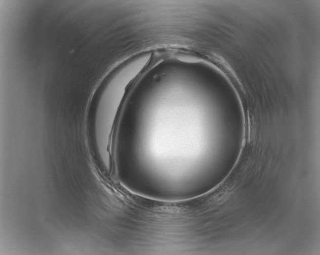 X0000070180435200606091510