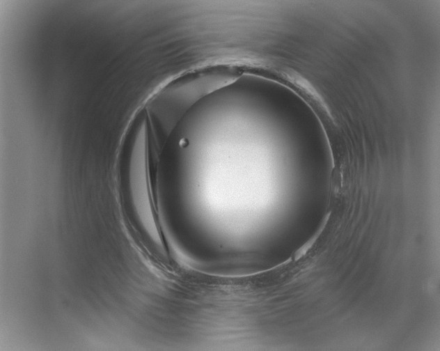 X0000070180436200606091510