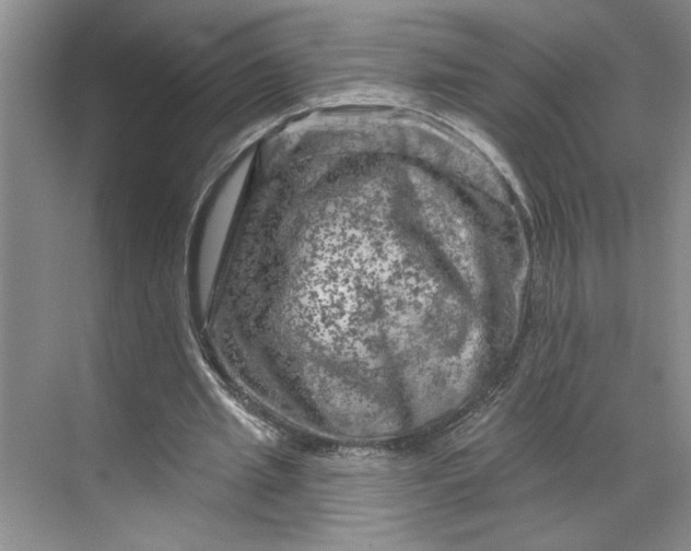 X0000070180437200606091510