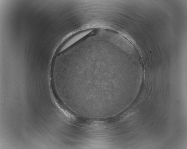 X0000070180438200606091510