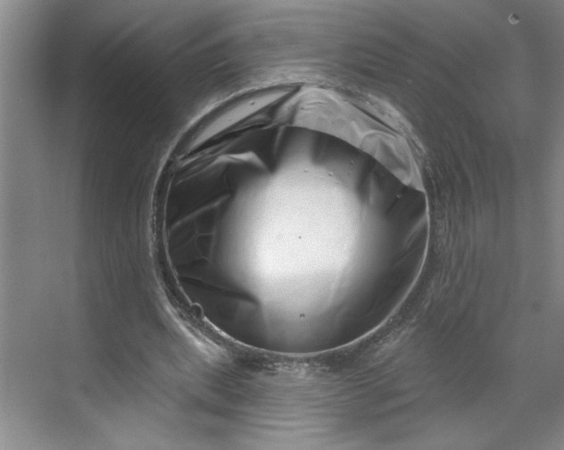 X0000070180439200606091511