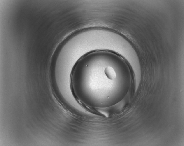 X0000070180440200606091511