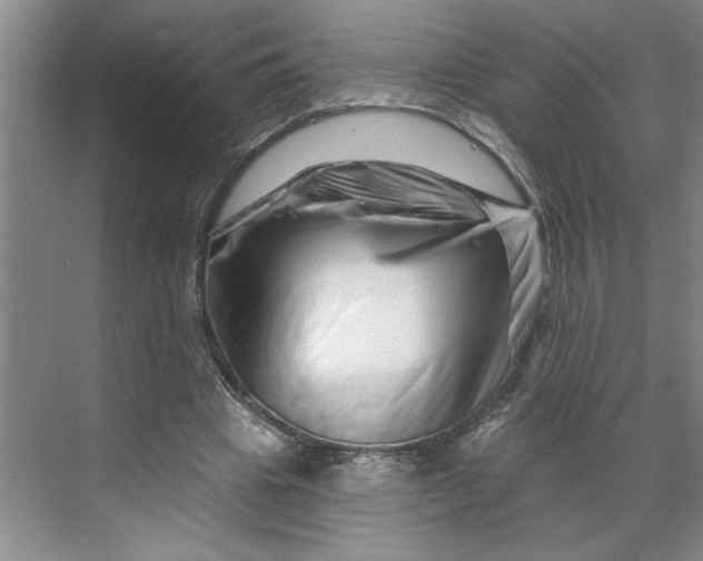 X0000070180441200606091511