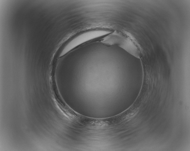 X0000070180443200606091511