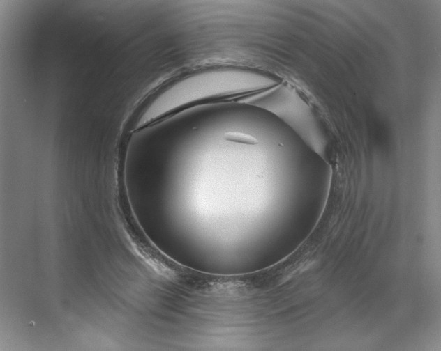 X0000070180446200606091511