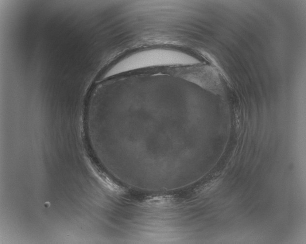 X0000070180447200606091511