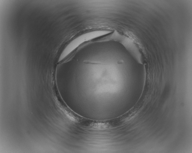 X0000070180449200606091511