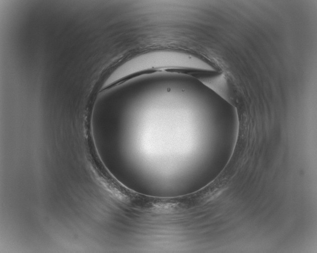 X0000070180450200606091511