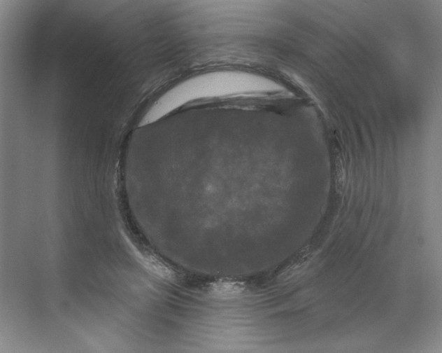 X0000070180451200606091511