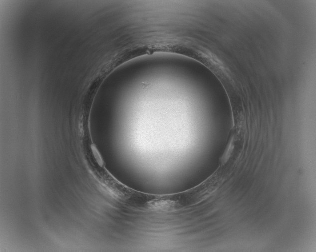 X0000070180452200606091511