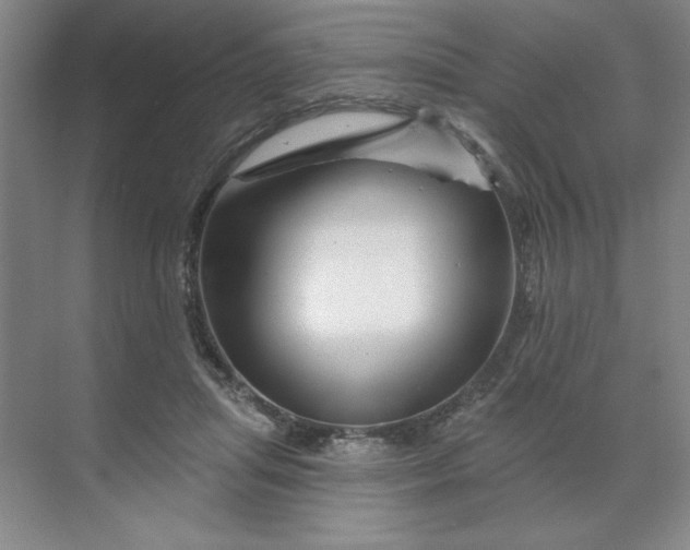 X0000070180455200606091511