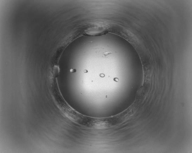 X0000070180456200606091511