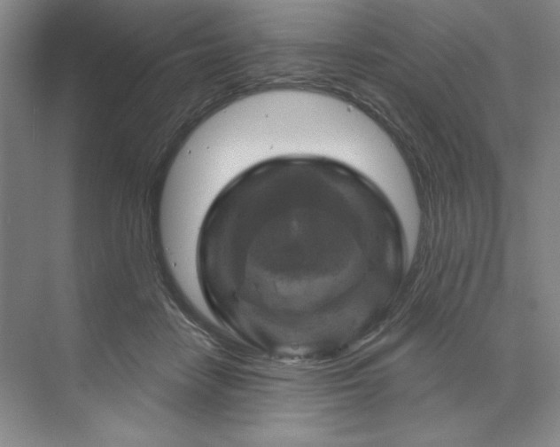 X0000070180458200606091511