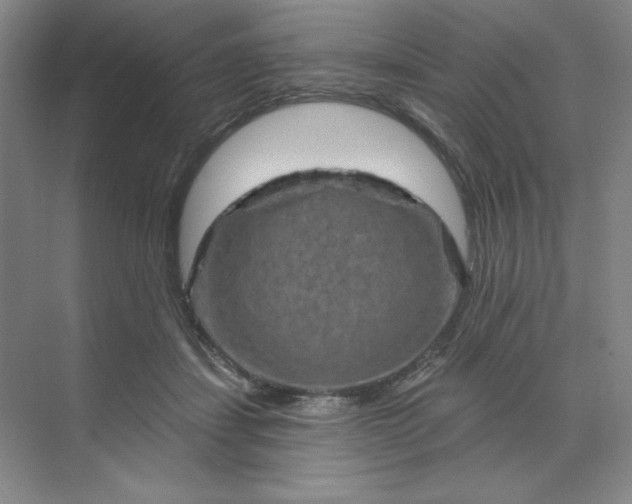 X0000070180459200606091511