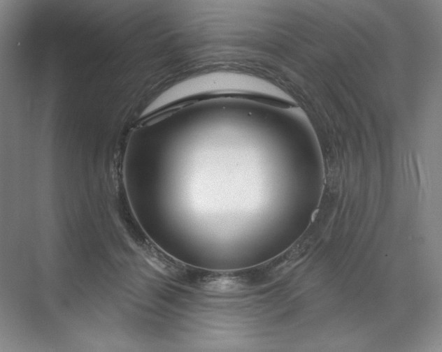 X0000070180460200606091511