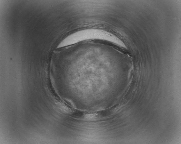 X0000070180461200606091511