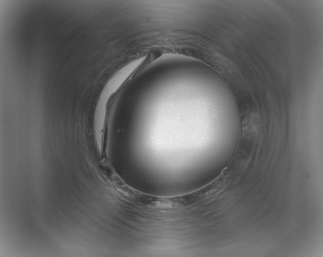 X0000070180464200606091511