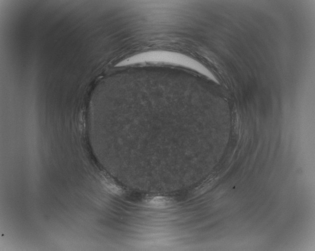 X0000070180467200606091511