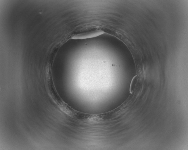 X0000070180468200606091511