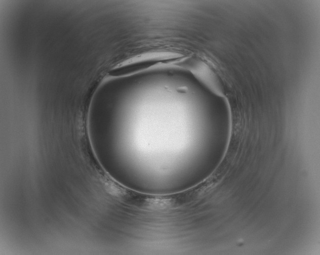 X0000070180469200606091511