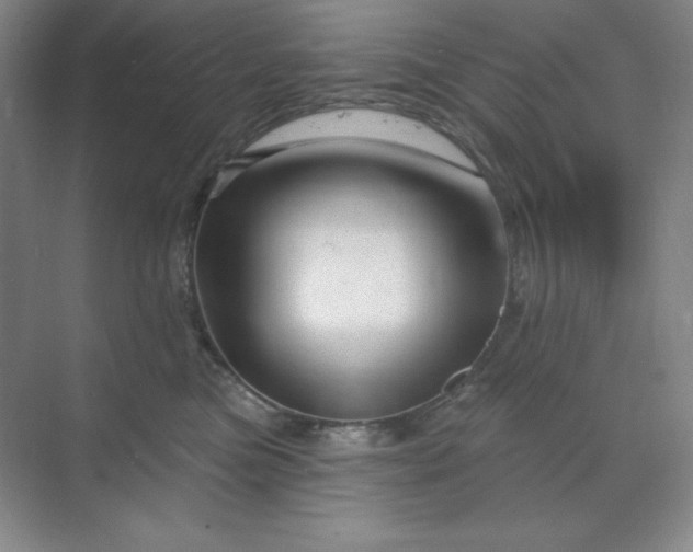 X0000070180473200606091511