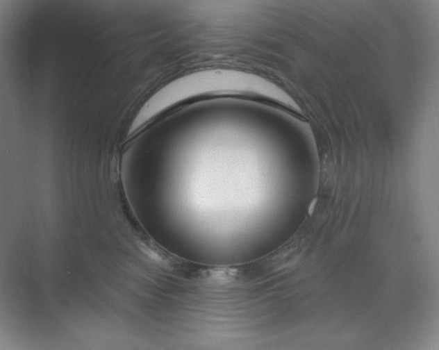 X0000070180474200606091511