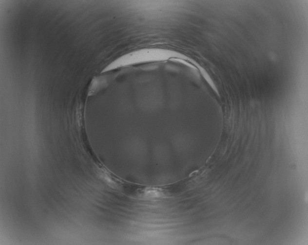 X0000070180475200606091511