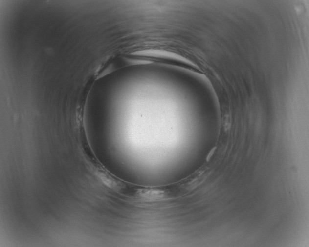 X0000070180476200606091511