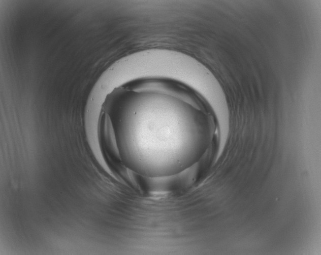 X0000070180478200606091511