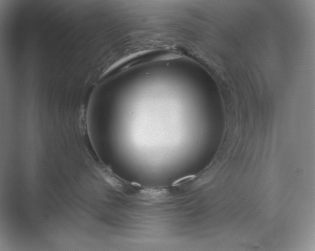 X0000070180480200606091511