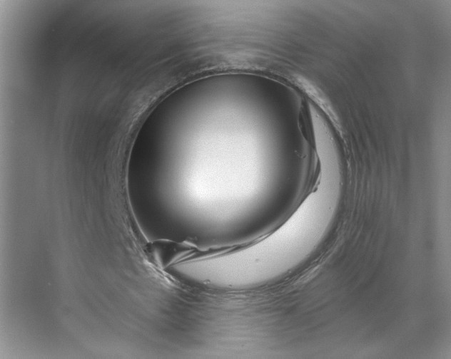 X0000070180481200606091510