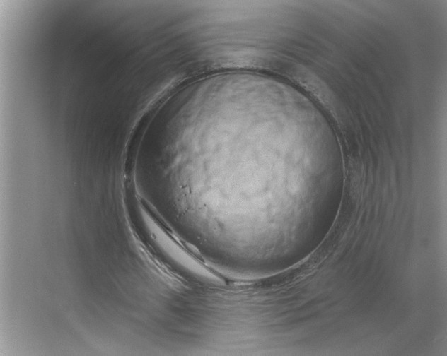 X0000070180482200606091510