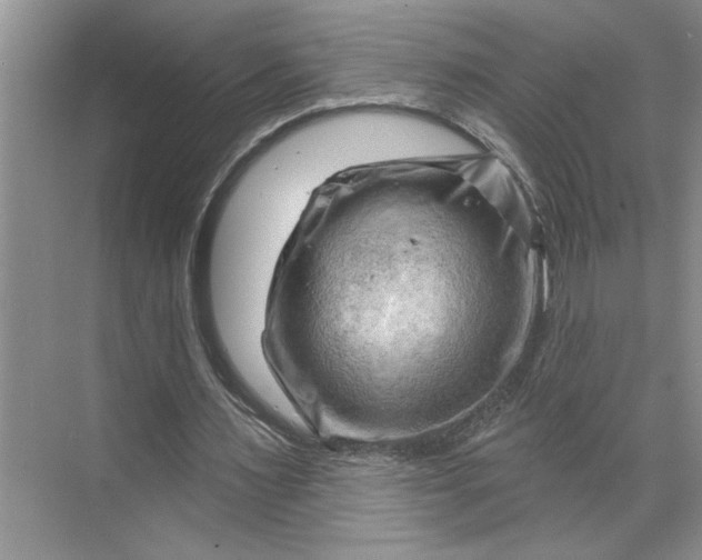 X0000070180483200606091510