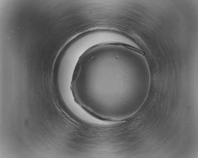 X0000070180484200606091510