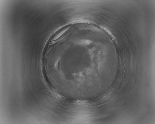 X0000070180487200606091510