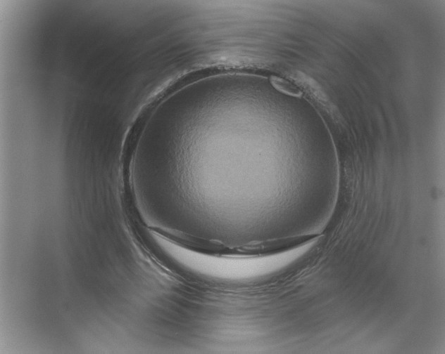 X0000070180488200606091510