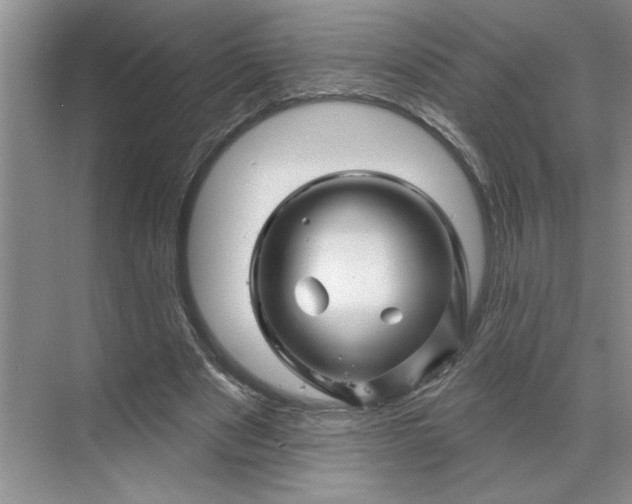 X0000070180489200606091510