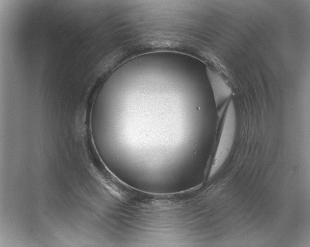 X0000070180490200606091510