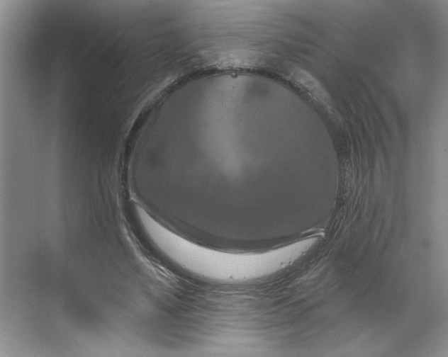 X0000070180491200606091510