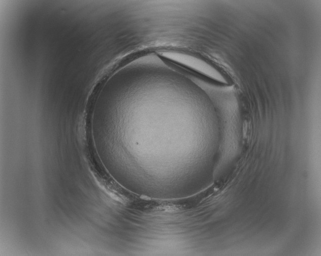 X0000070180492200606091510