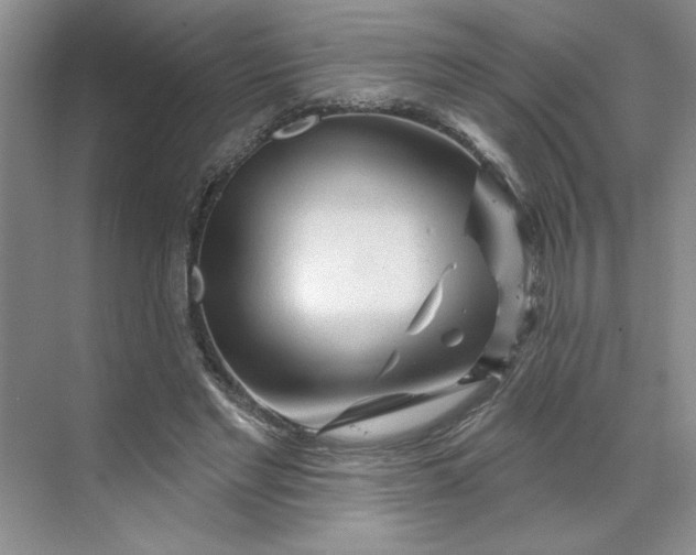 X0000070180493200606091510