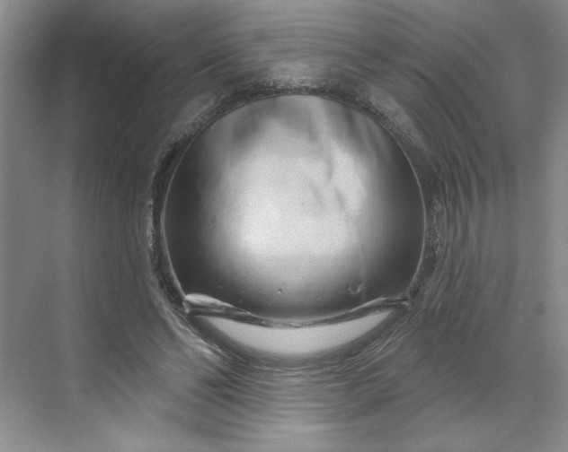 X0000070180494200606091510