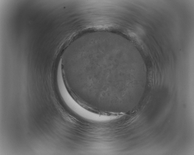 X0000070180495200606091510