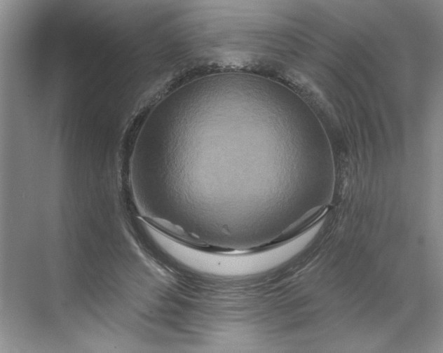 X0000070180496200606091510