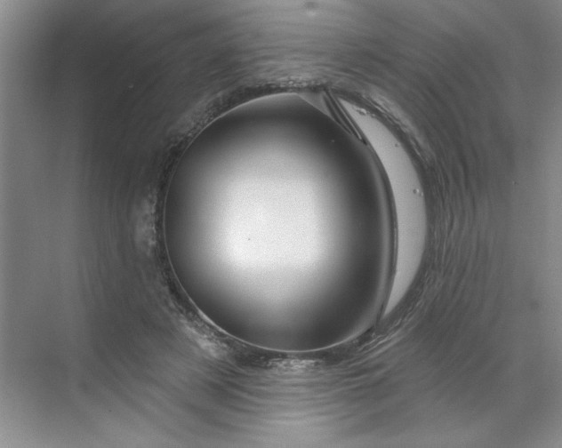 X0000070180497200606091510