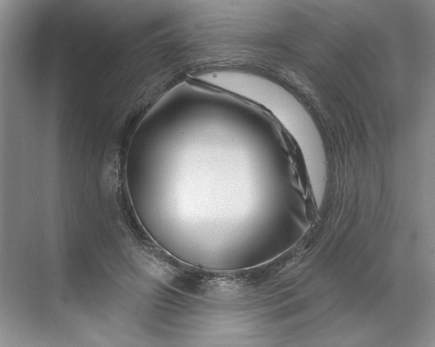 X0000070180498200606091510