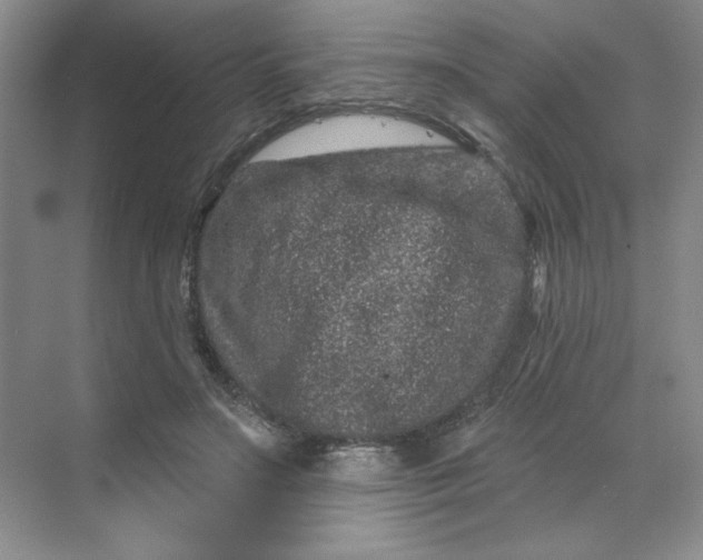 X0000070180499200606091510