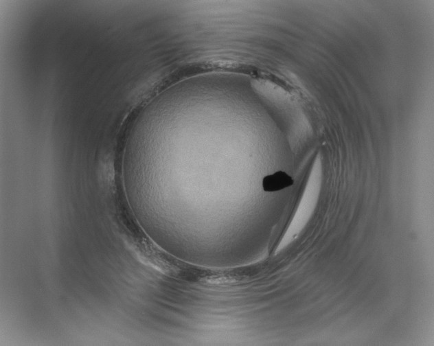 X0000070180500200606091510