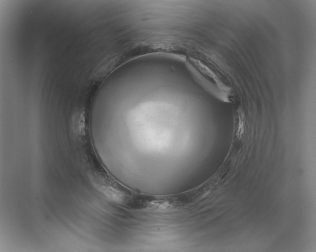 X0000070180502200606091510