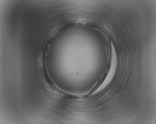 X0000070180504200606091510